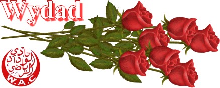 wydad