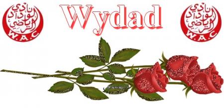 wydad