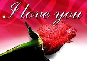 i love you