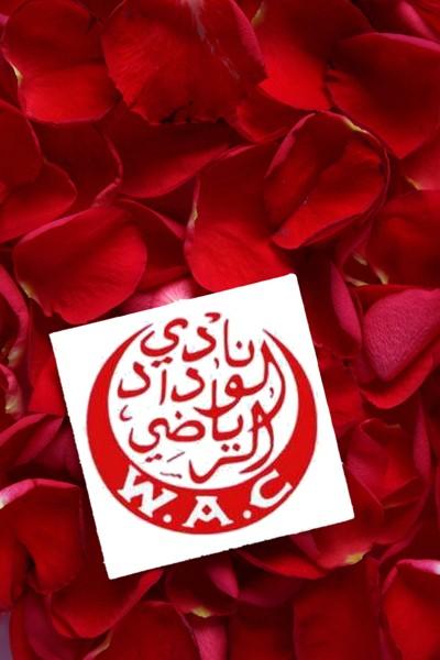 wydad