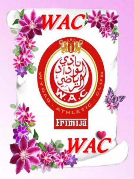 dima wydad