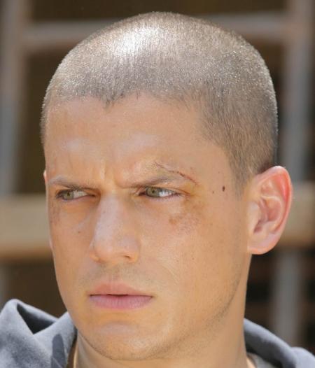 scofield