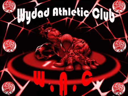 dima wydad