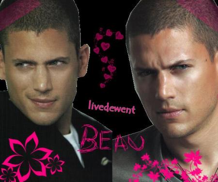scofield
