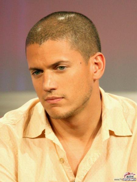 scofield