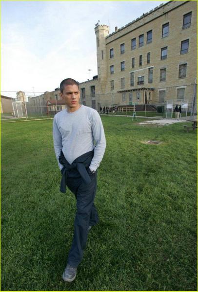  scofield
