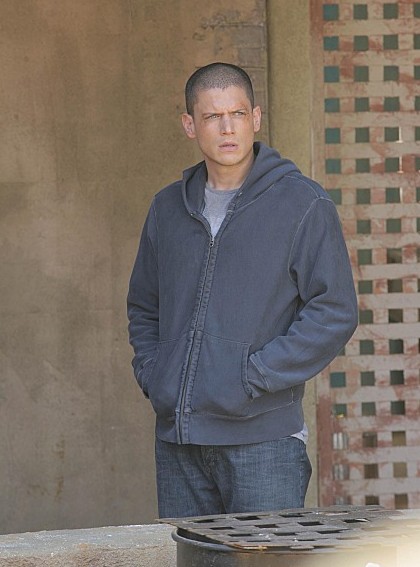 scofield