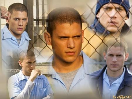 scofield
