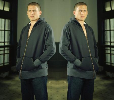 wentworth miller