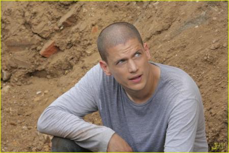 scofield