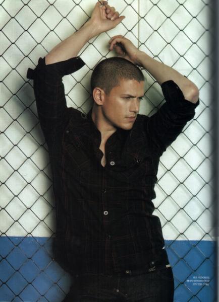 scofield