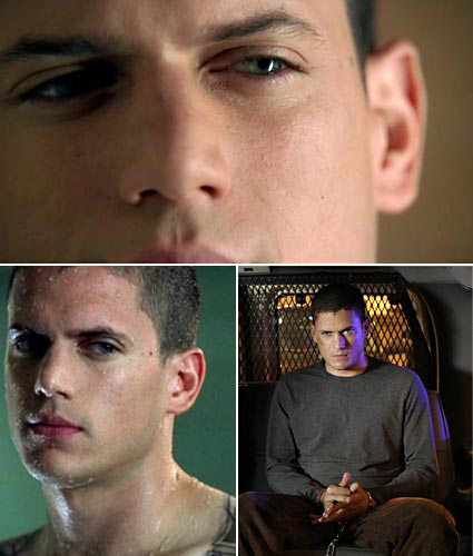 scofield