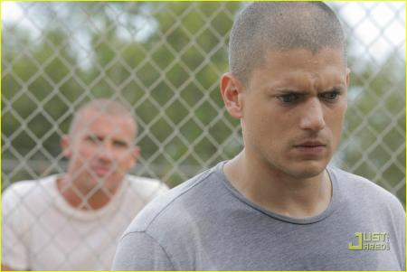 scofield