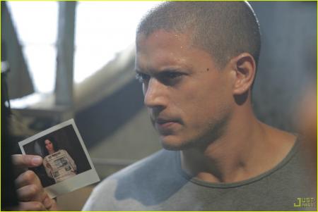 scofield