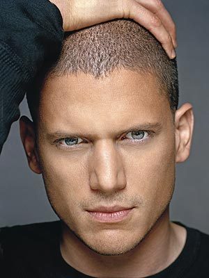 scofield