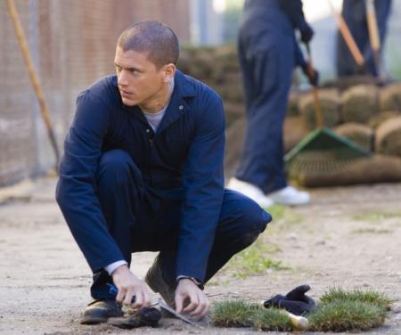scofield