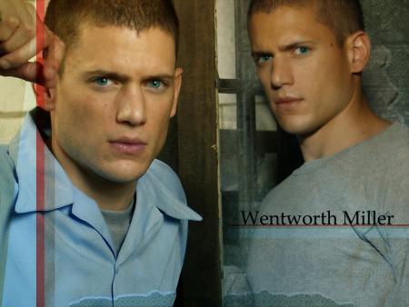 scofield