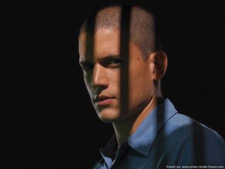 scofield