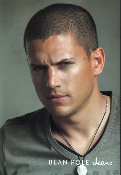 scofield