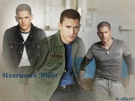 scofield