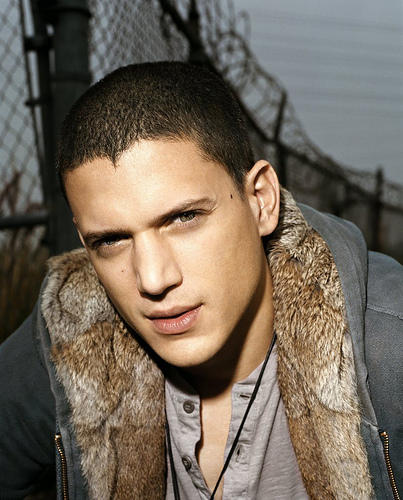 scofield