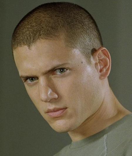 wentworth miller