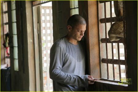 scofield
