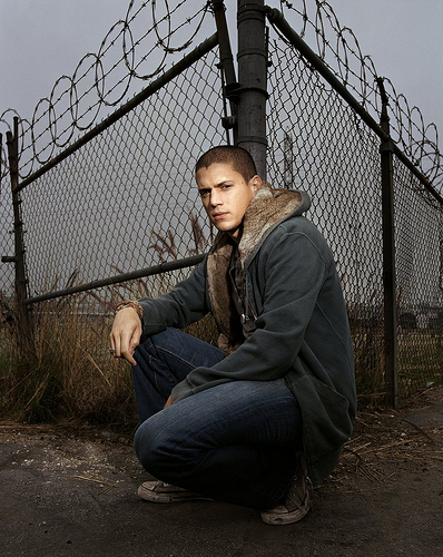 scofield