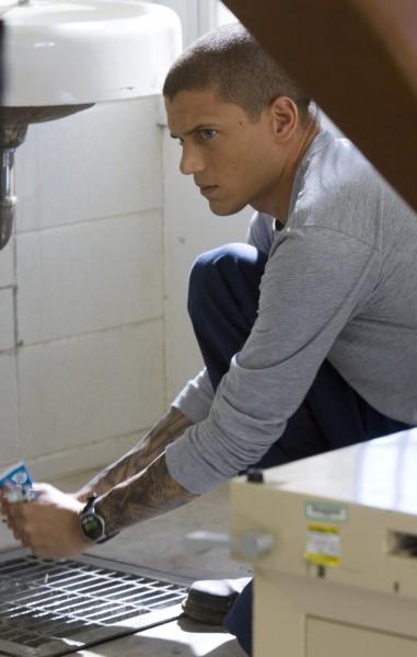 scofield