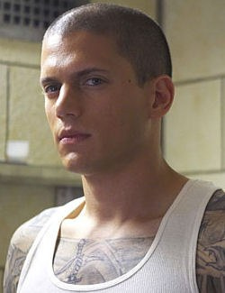 scofield