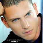 scofield