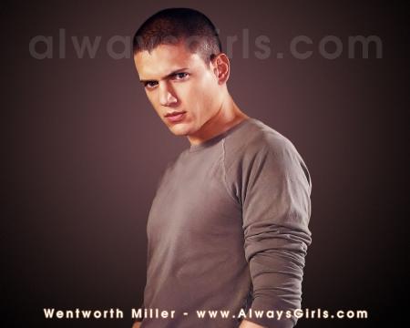 scofield